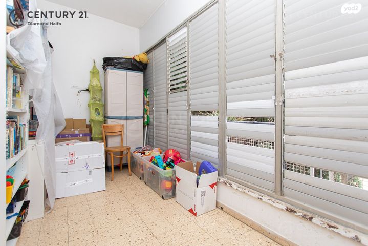 דירה, מרדכי אנילביץ', המושבה הגרמנית, חיפה