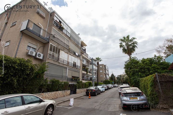 דירה, מרדכי אנילביץ', המושבה הגרמנית, חיפה