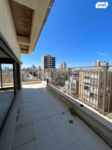 דופלקס, הצפון הישן - דרום, תל אביב יפו