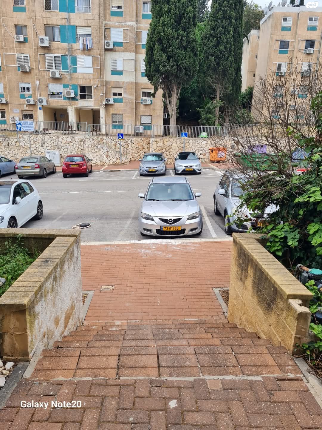 תירוש 