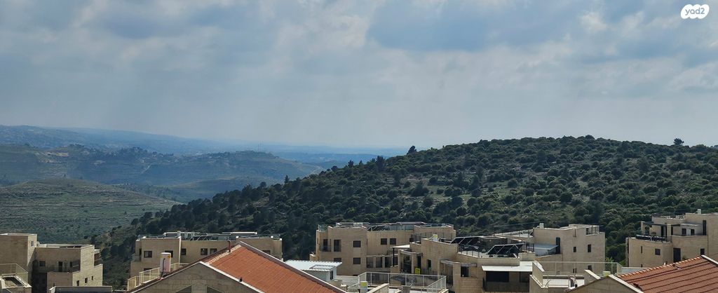 גג/ פנטהאוז, צור הדסה