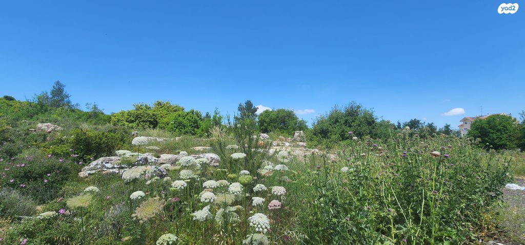 גג/ פנטהאוז, צור הדסה