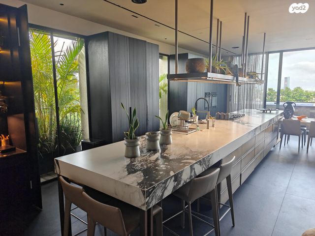 גג/ פנטהאוז