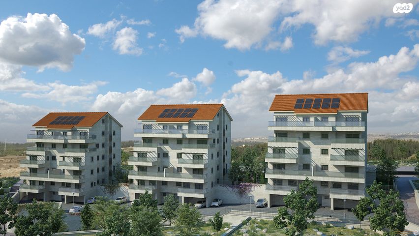 גג/ פנטהאוז, צור הדסה