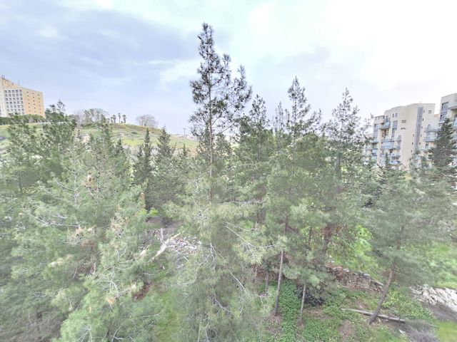 דירה, גרשון אבנר, ארמון הנציב, תלפיות מזרח, ירושלים