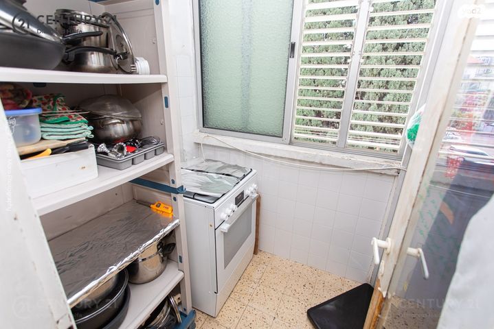 דירה, מרדכי אנילביץ', המושבה הגרמנית, חיפה