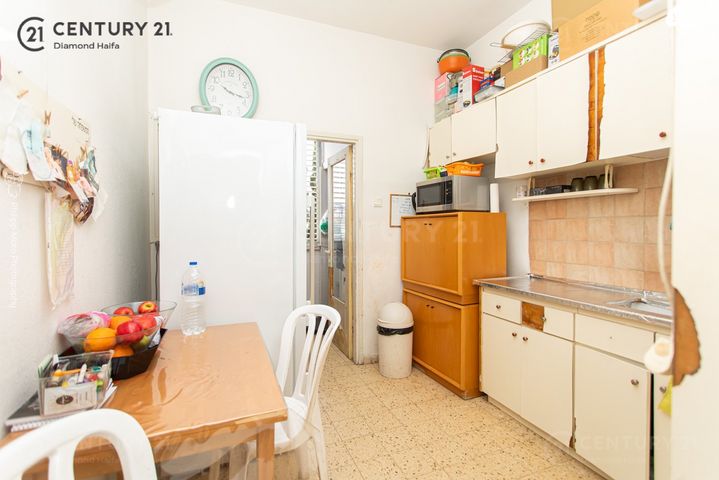 דירה, מרדכי אנילביץ', המושבה הגרמנית, חיפה