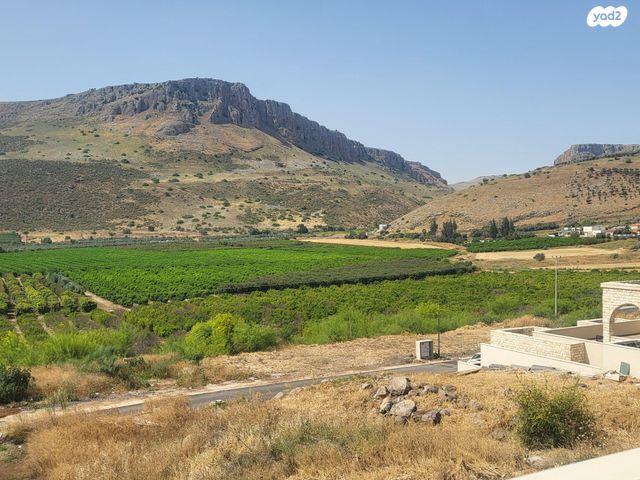 האשכולית 1