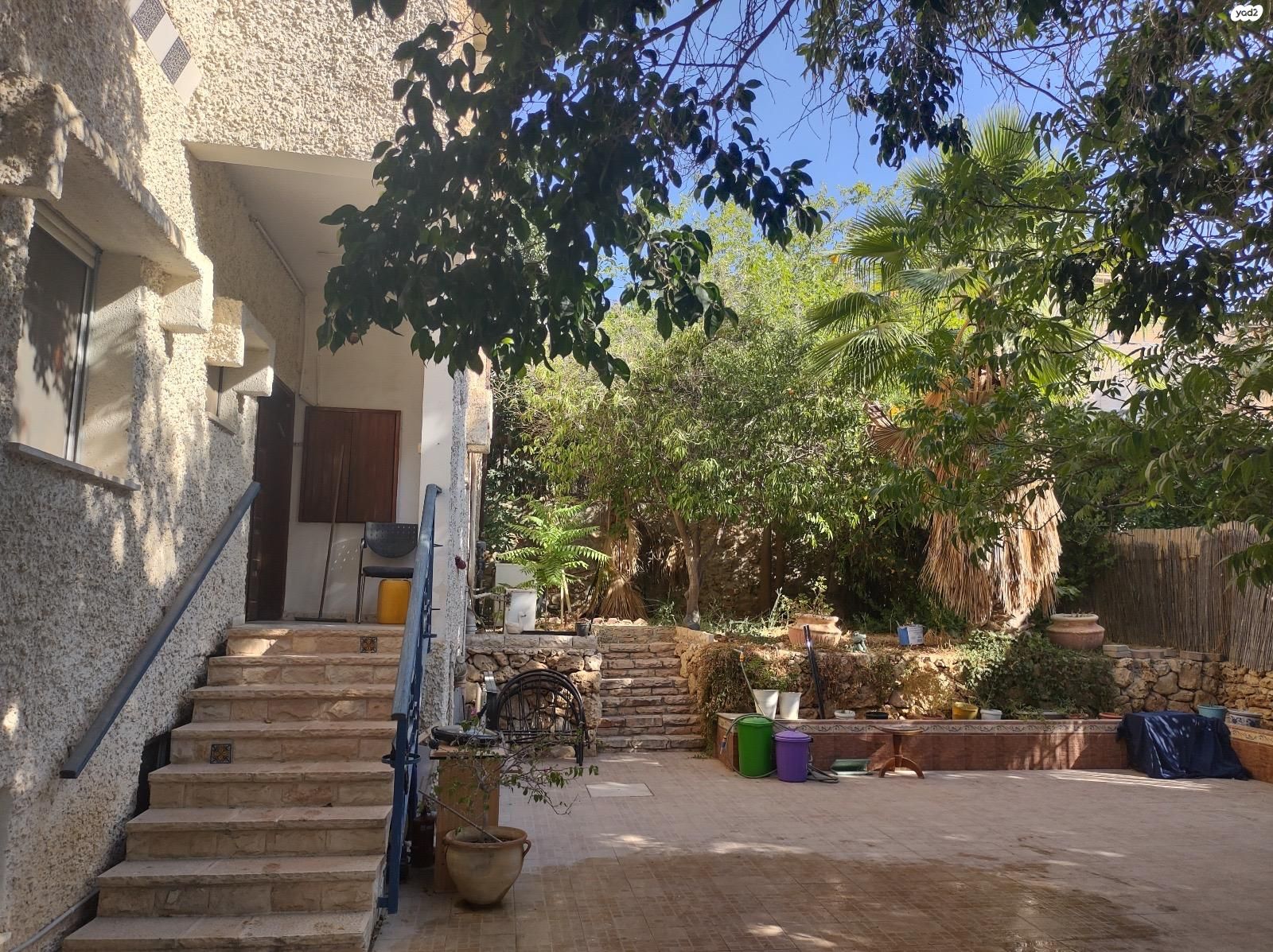 המצדים 52