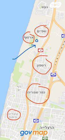 התמר 1