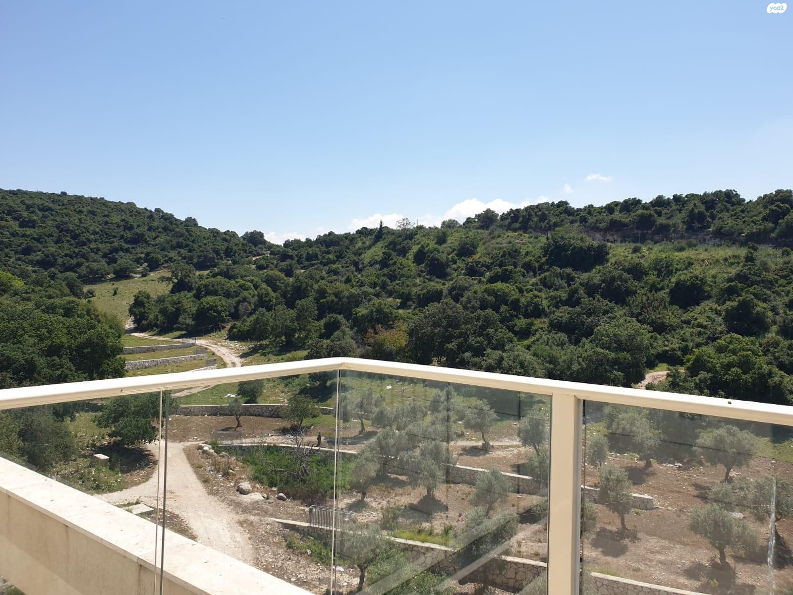 השקד 60