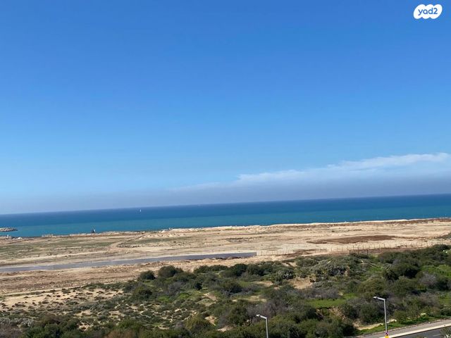 גג/ פנטהאוז, תכנית ל', למד, תל אביב יפו