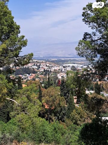 מגרשים