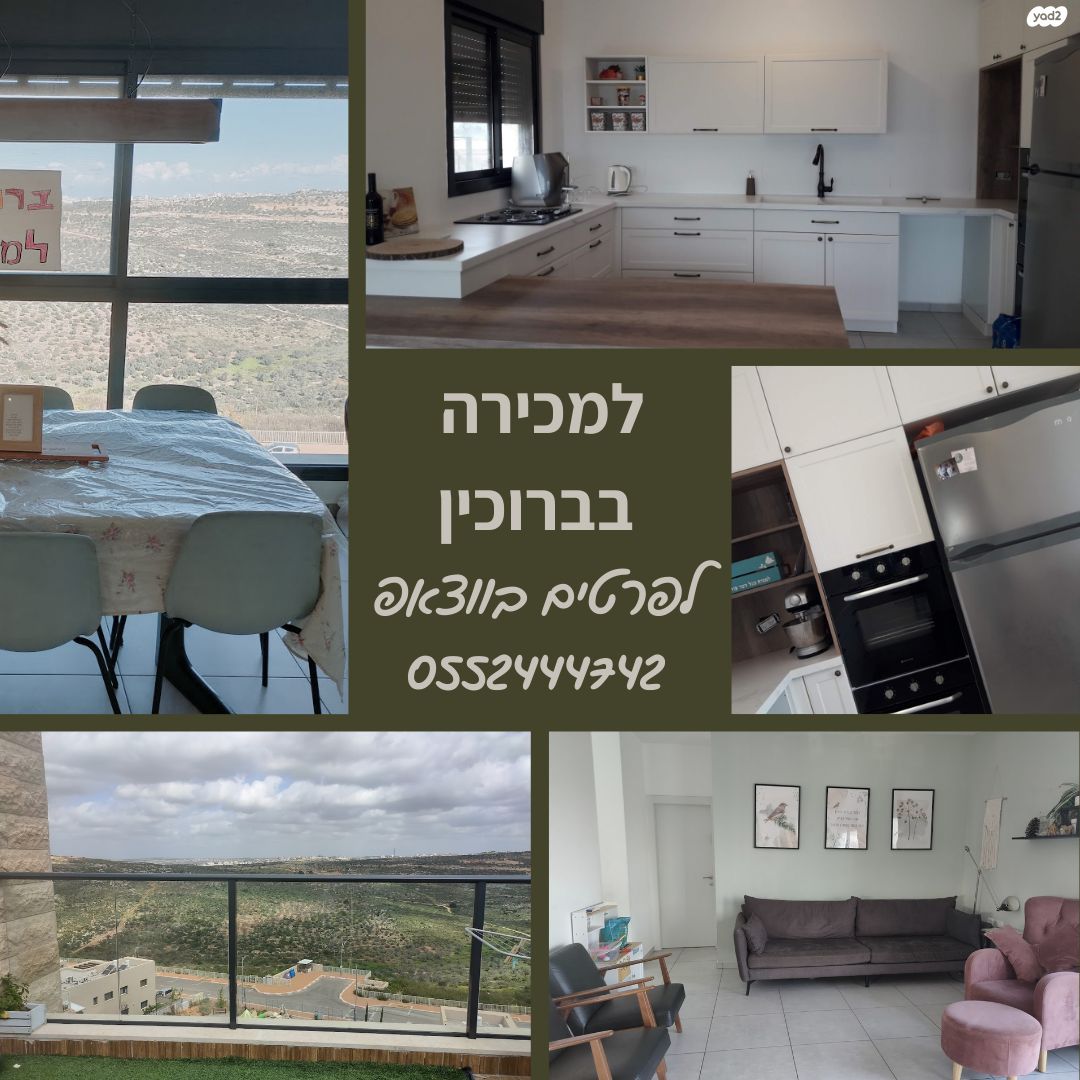 הצבי 75
