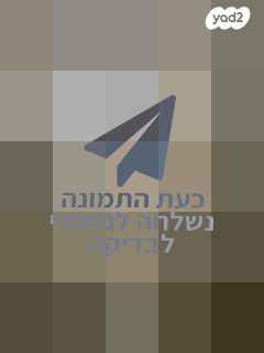 חת"ם סופר 29