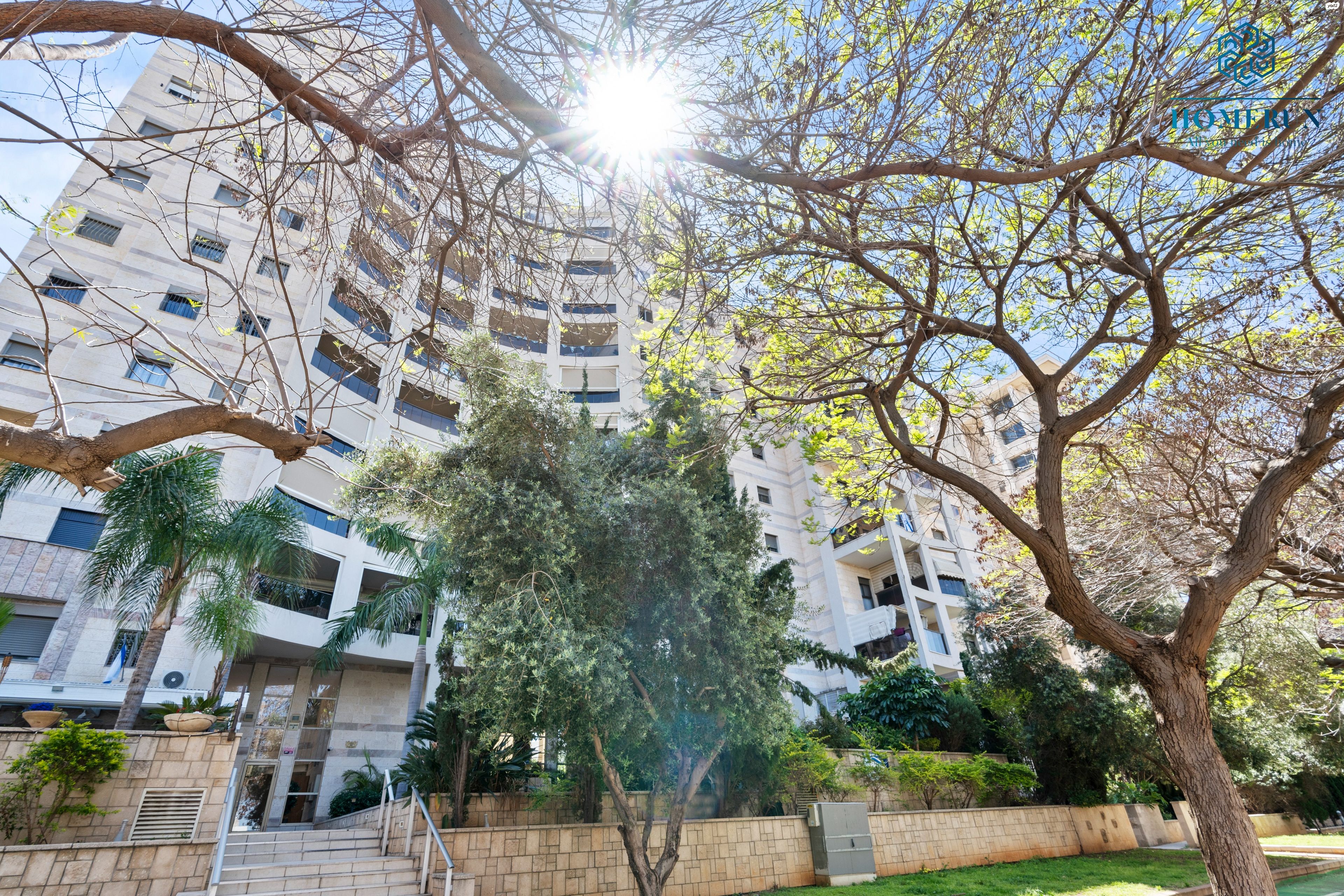 פנחס אילון 