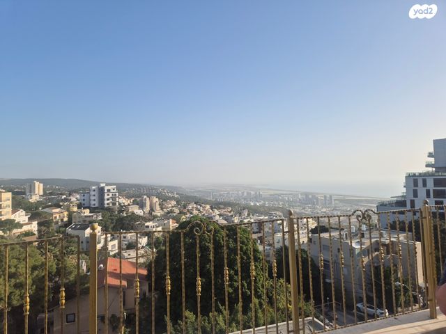 דירה, רנ"ק, אחוזה, חיפה