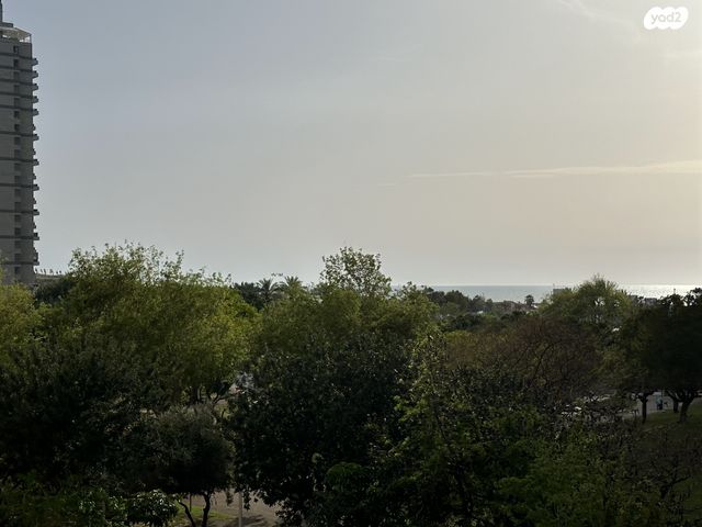 דירה, יצחק שדה, בת ים