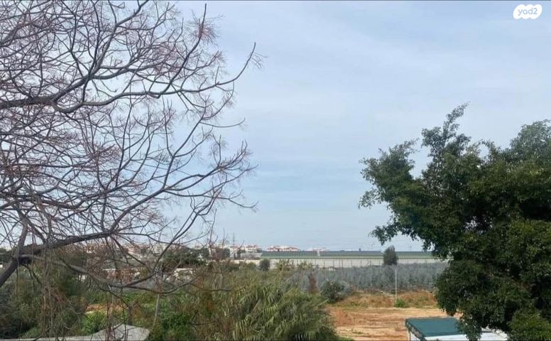 דירה, הרצליה