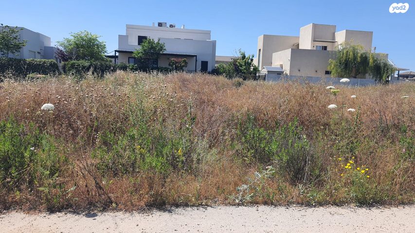 מגרשים, מאור