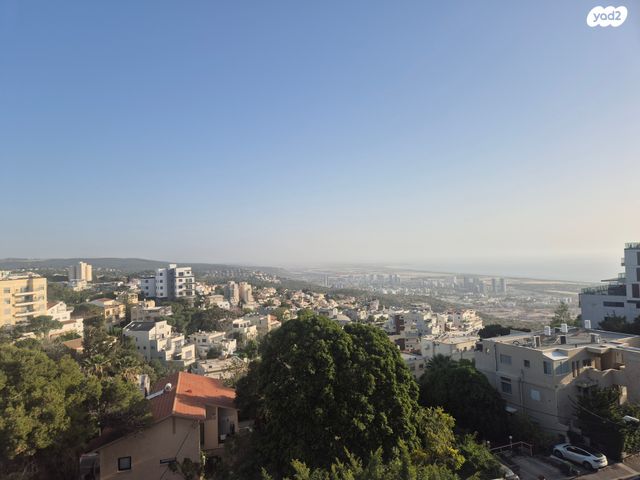 דירה, רנ"ק, אחוזה, חיפה