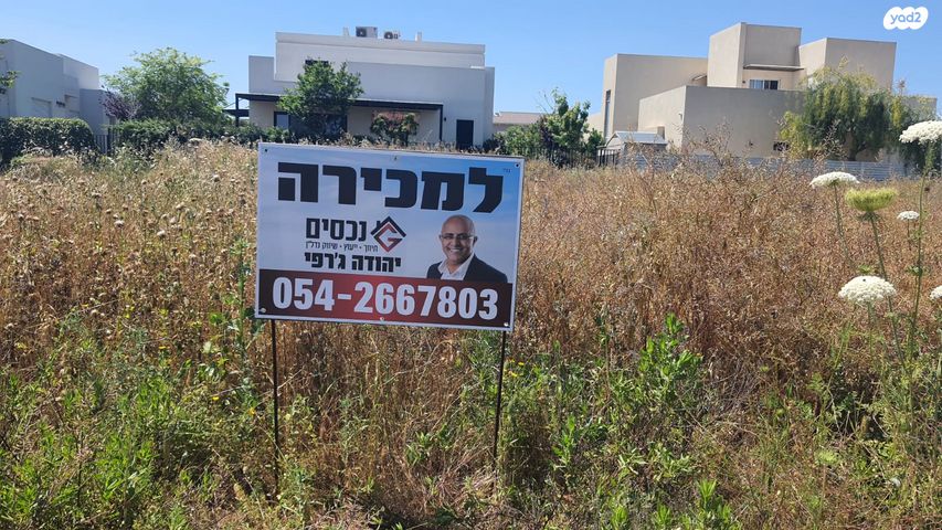 מגרשים