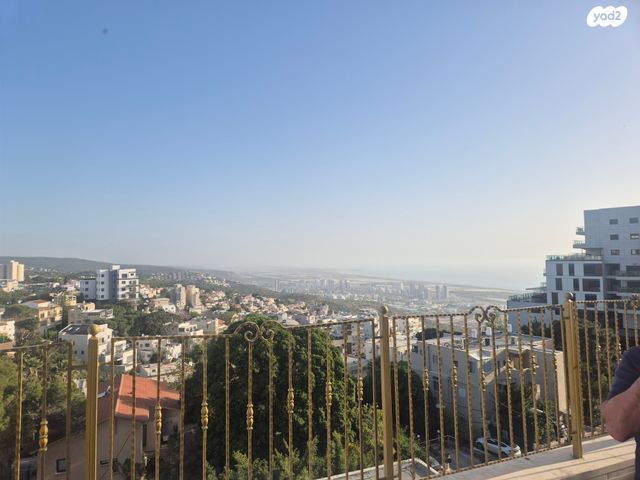 דירה, רנ"ק, אחוזה, חיפה