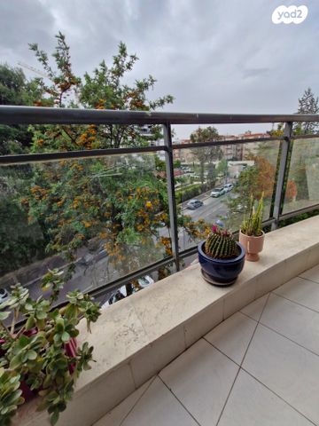 דירה, הרצל, עיר, מרכז העיר, נהריה