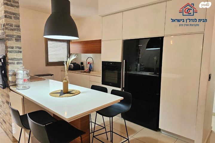 יהושע חנקין 