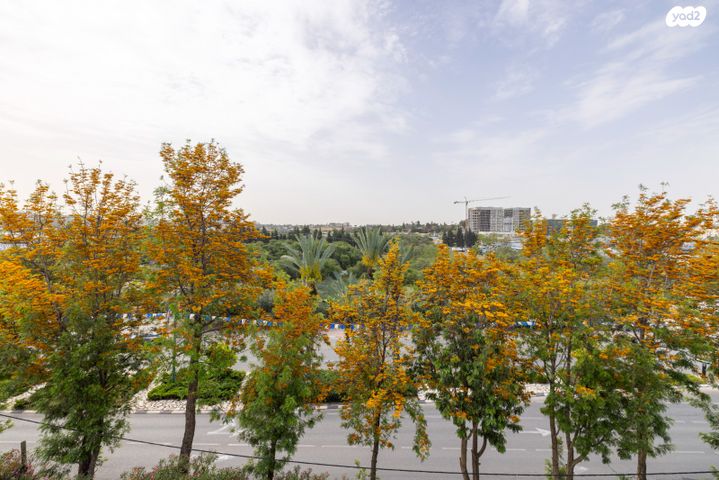 דירה, ראובן לרר, מרכז מערבי, נס ציונה