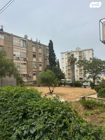 דרייפוס 
