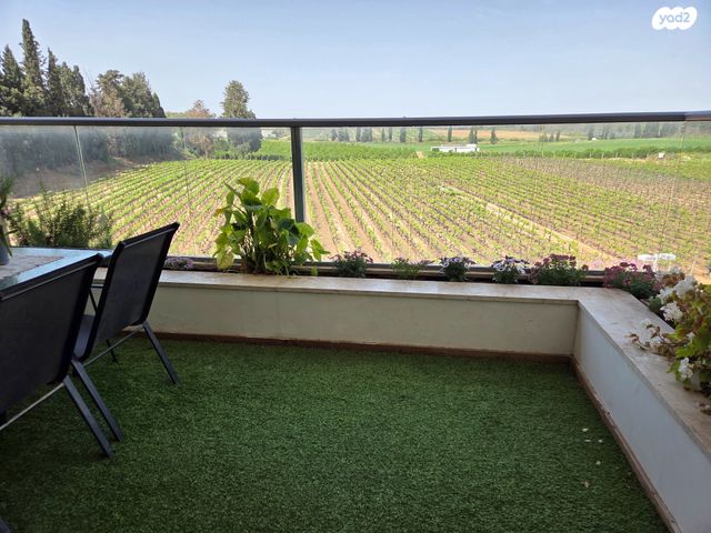 דירה, קדימה צורן