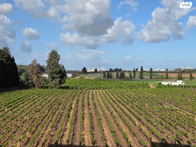 דירה, שדרות יצחק רבין, קדימה צורן