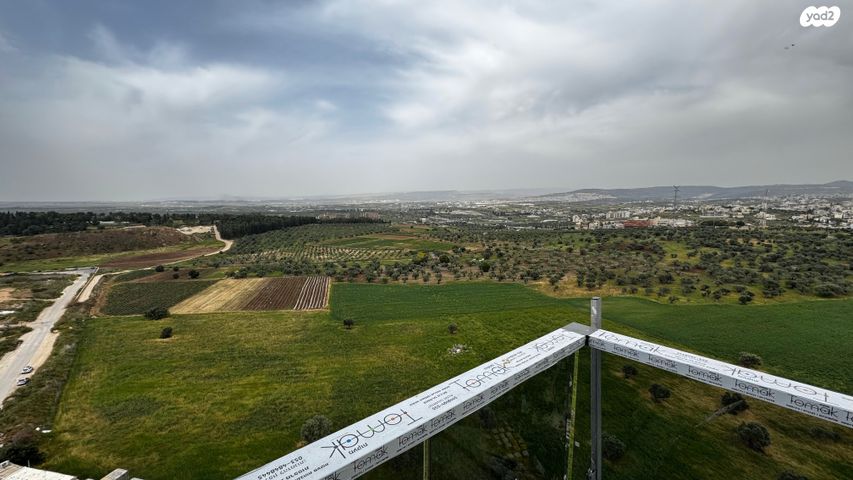 דירה, דוכיפת, גבעת אלונים, קרית אתא