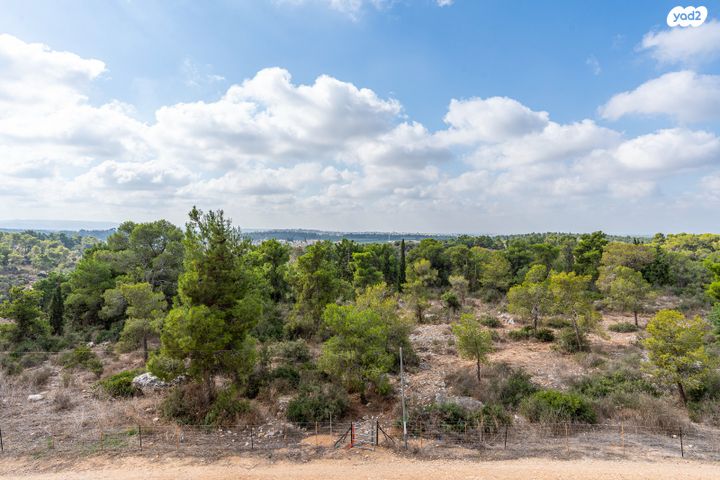 דירה, אורן, החורש, חריש