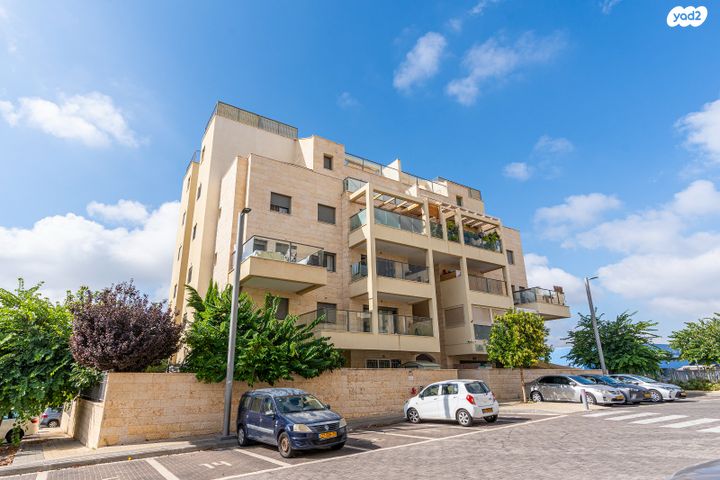 דירה, אורן, החורש, חריש