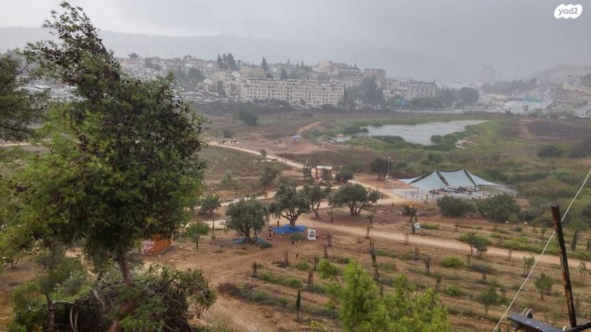 דב הוז 
