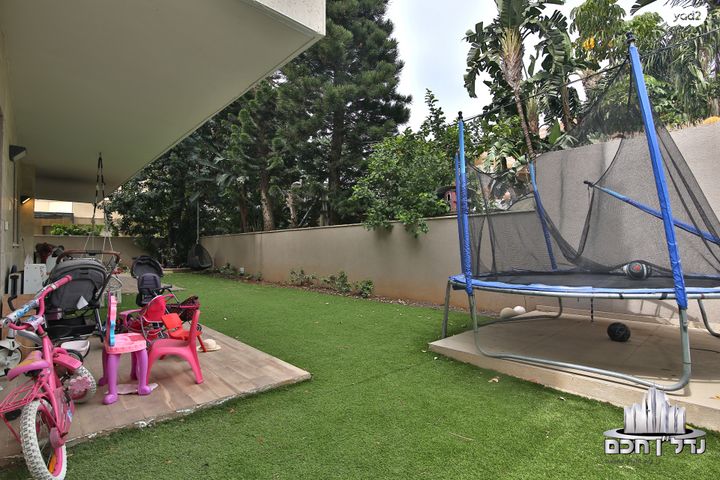 דירת גן, הנצי"ב, קרית שמואל, חיפה