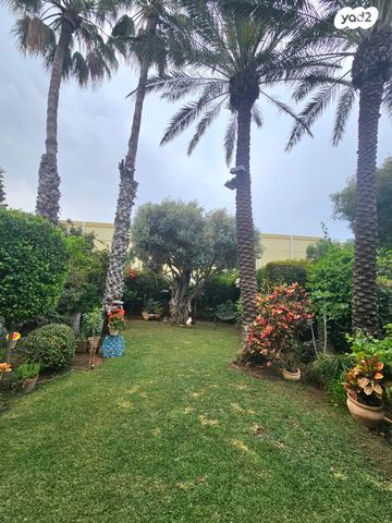 ישראל גלילי 