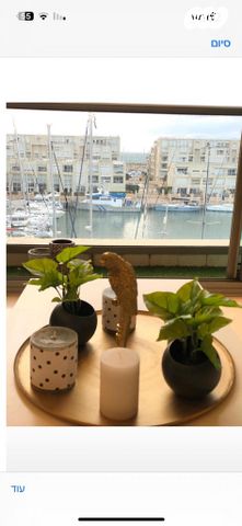 דירה, העוגן, הרצליה