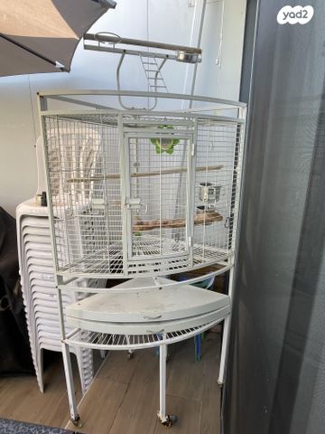 תמונת מודעה - חיות מחמד