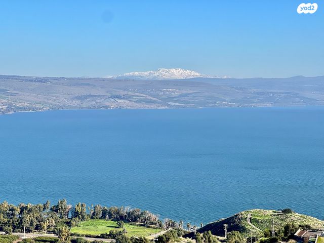 גולדה מאיר 22
