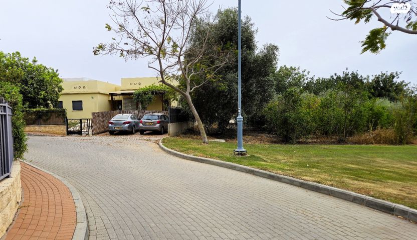 אור הנר 