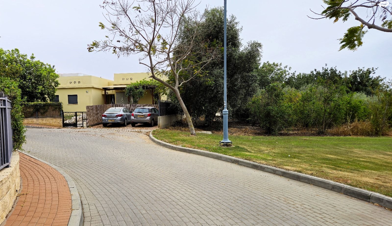 אור הנר 