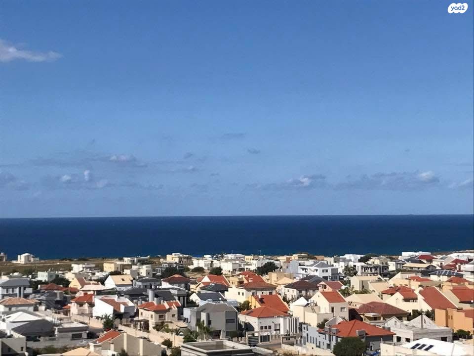 דרך היין 1