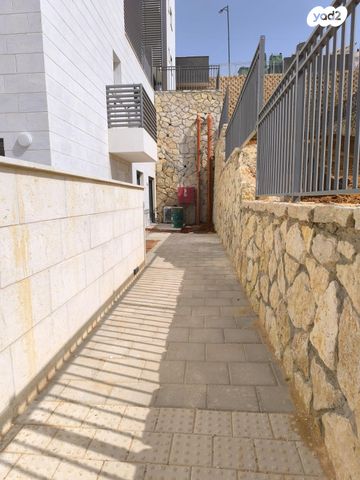 כלנית 1