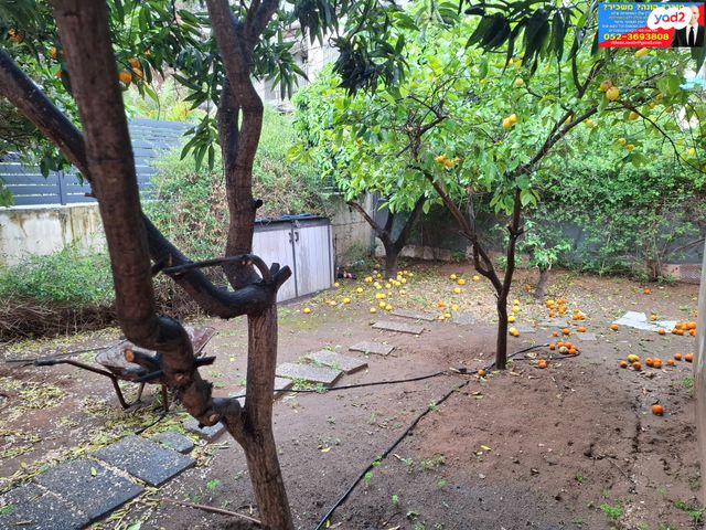 מגרשים, אלמוג, נווה מונוסון, יהוד מונוסון