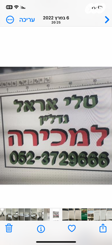 דירה, המלך שלמה 8, נווה דוד, חיפה