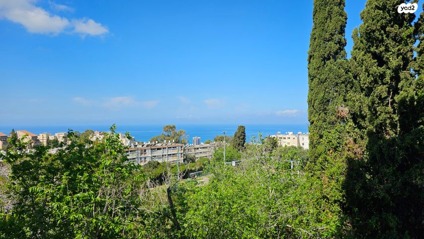 טשרניחובסקי 59