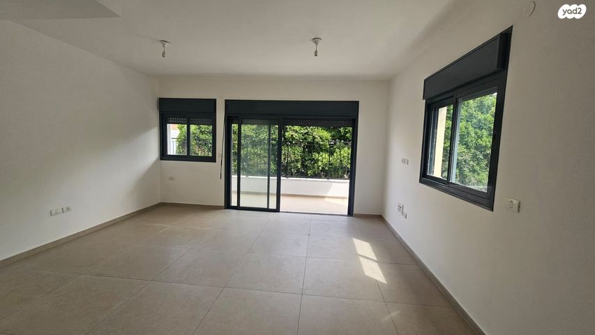 פנחס רוטנברג 